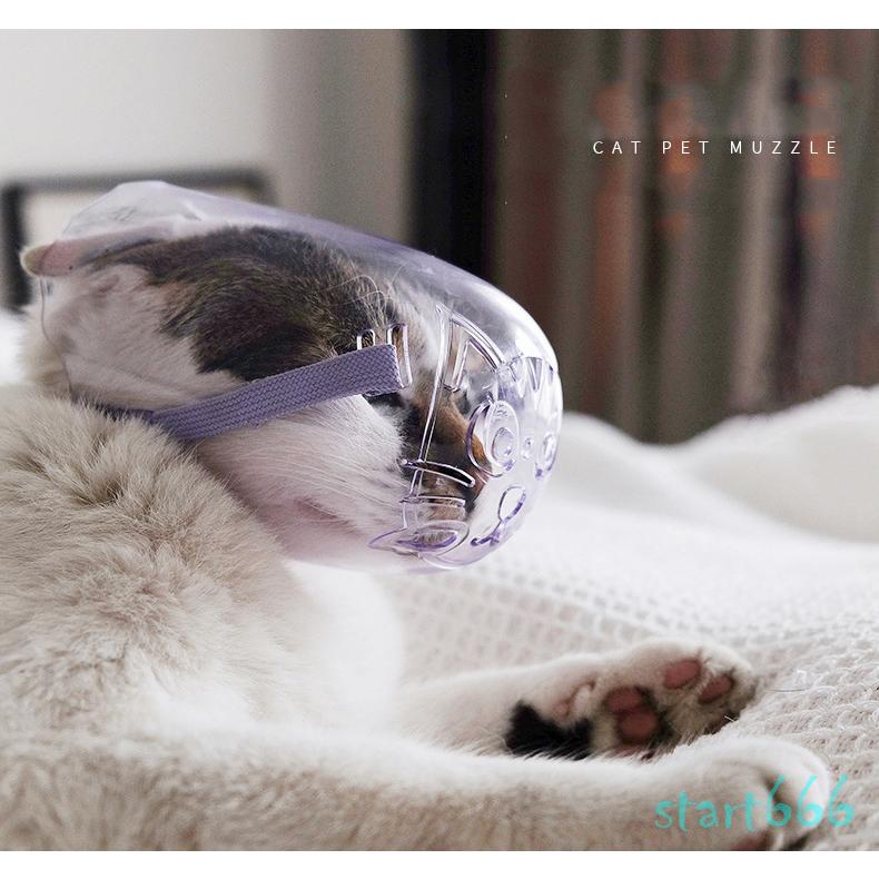 猫用 犬用 マズル 口輪 鳴き声 無駄吠え 噛み 拾い食い 防止 透かし彫り 透明 ペット用品 安心安全 小型犬 犬外出便利グッズ 防止口輪 かわいい おしゃれ Xx ストア666 通販 Yahoo ショッピング