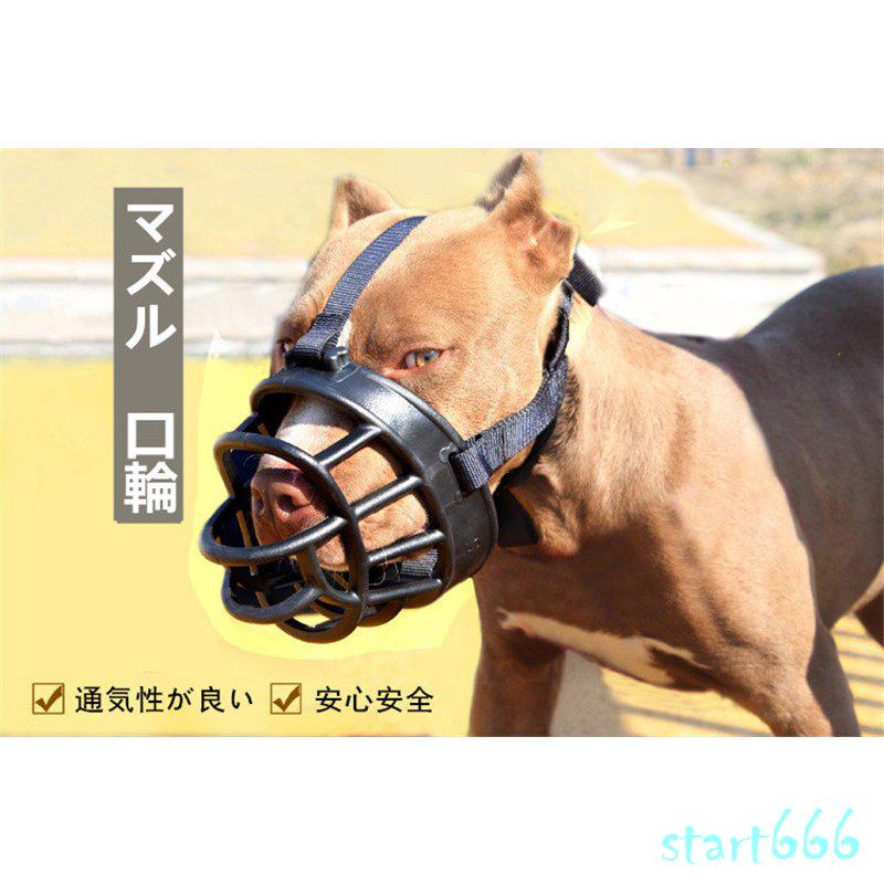 市場 メッシュマズル No 2