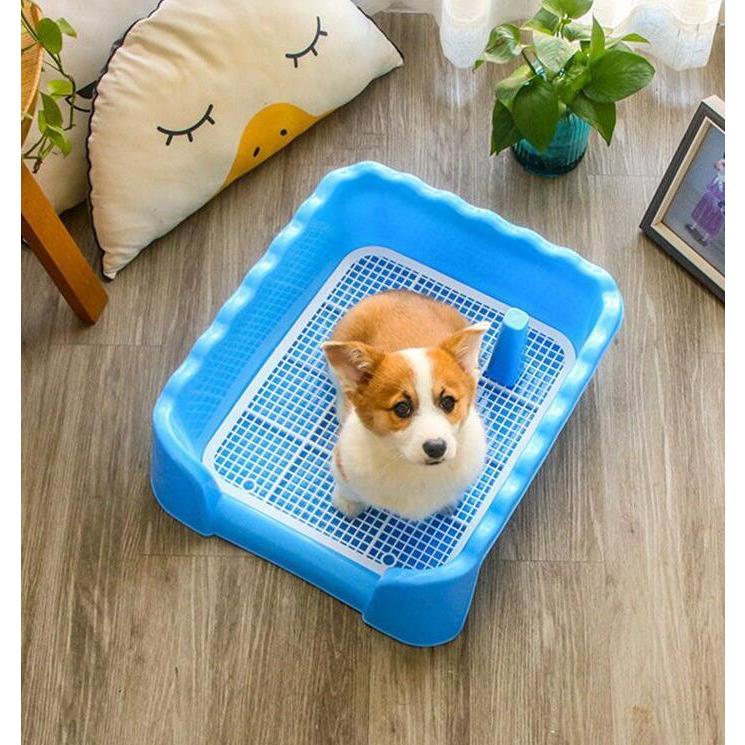 犬トイレ 犬トイレトレー しつけ おしゃれ 犬 トイレ フチ付き メッシュ 50 Off 躾 男の子 トレー 犬用トイレ しつけるウォールトレー トレーニング