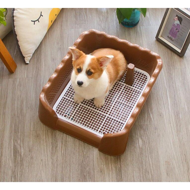 犬トイレ 犬トイレトレー しつけ おしゃれ 犬 トイレ フチ付き メッシュ 50 Off 躾 男の子 トレー 犬用トイレ しつけるウォールトレー トレーニング