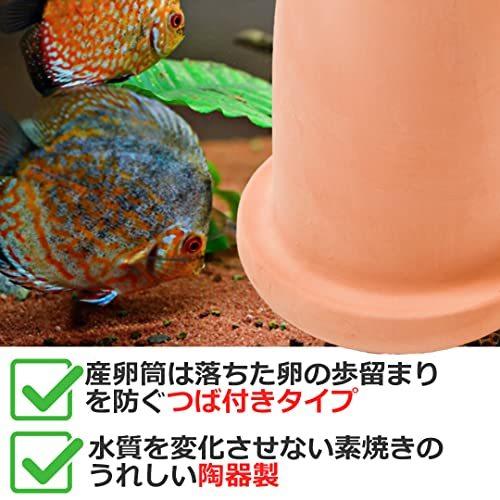 熱帯魚用 保護ネットカバー付き 稚魚 産卵筒 繁殖 ディスカス 