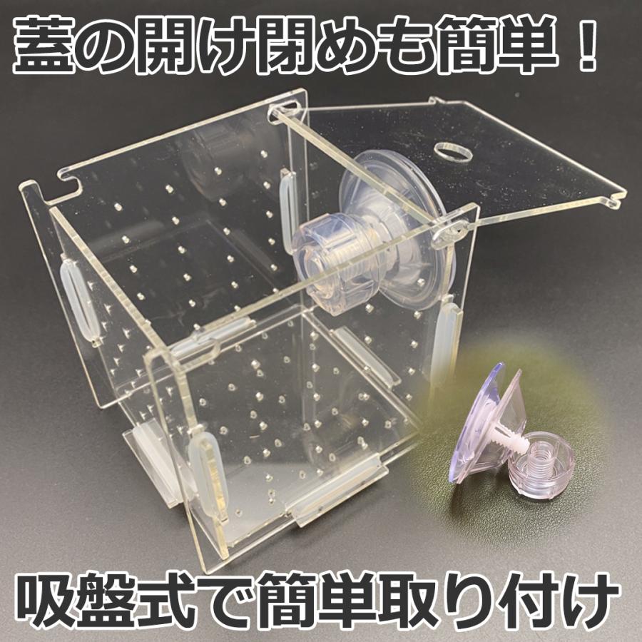稚魚 水槽内用 繁殖隔離ボックス 隔離吸盤付きケース プチ隔離