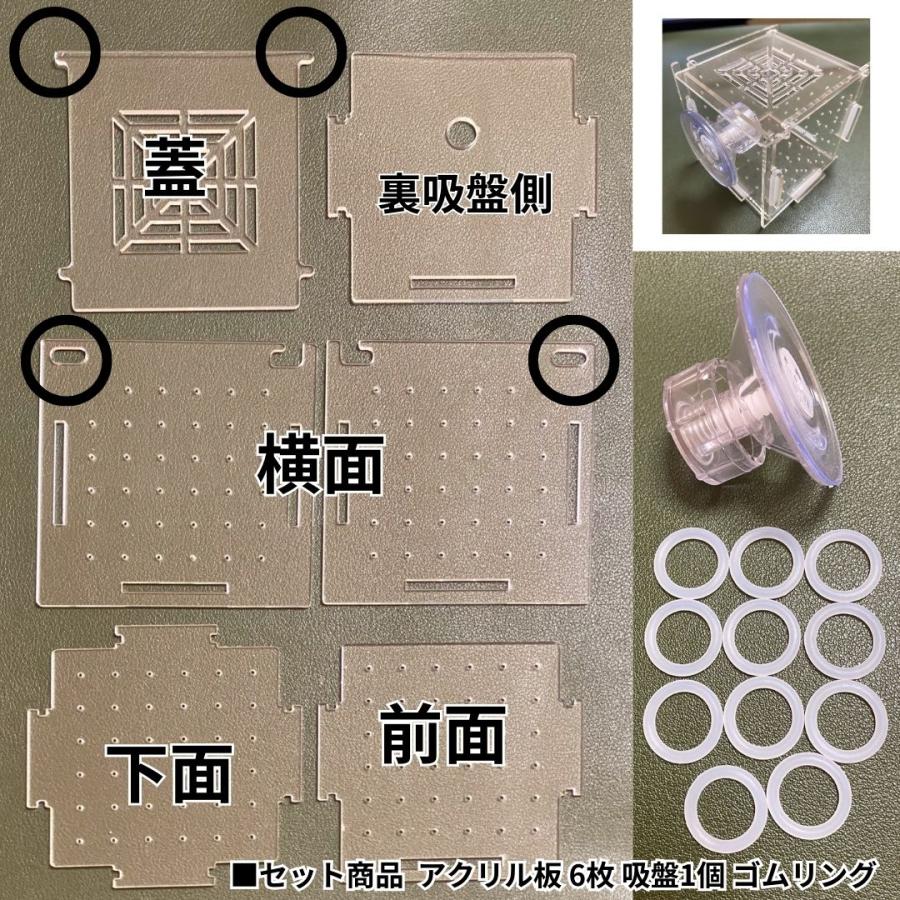 稚魚 水槽内用 繁殖隔離ボックス 隔離吸盤付きケース プチ隔離