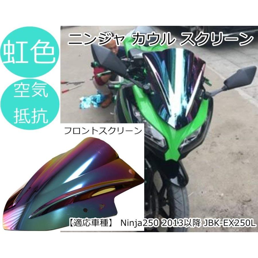 ニンジャ250 2023年式 KRT フロントカウル 【公式通販】