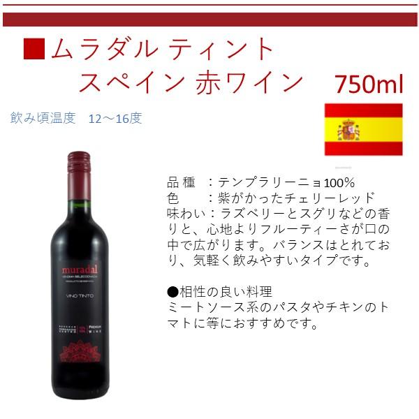 父の日 ワイン ワインセット 赤ワイン 白ワイン セットワイン スター