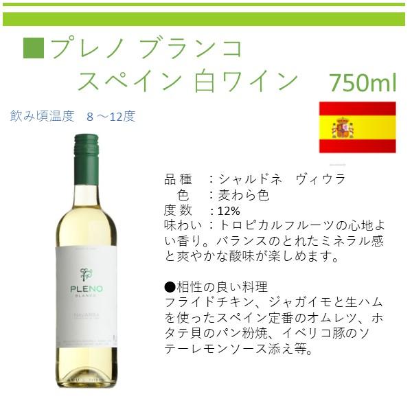 父の日 ワイン ワインセット 赤ワイン 白ワイン セットワイン スター
