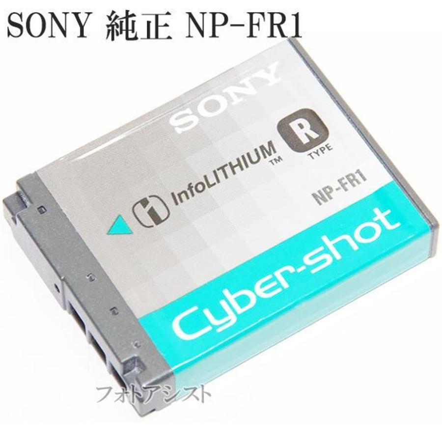 SONY対応ソニー リチャージャブルバッテリーパック NP-FR1 純正 海外