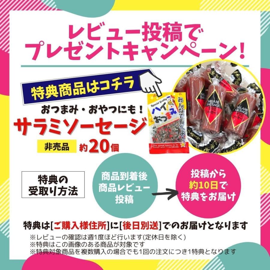 レビュー特典 福袋 冷凍食品 食品 肉 3.8kg 送料無料 スターゼン ローストビーフ ハンバーグ ウインナー 国産 豚ロース 春巻  冷凍 国産 ミニパンケーキ｜starzen-k｜14