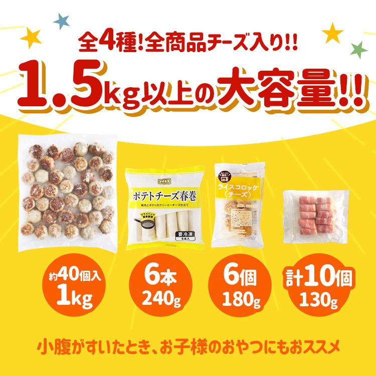 円高還元 冷凍総菜 チーズ セット 訳あり コロコロ チーズインハンバーグ 春巻 ポテトチーズ ライスコロッケ ベーコン巻 1 5kg以上 送料無料 簡単調理2 980円 Aynaelda Com