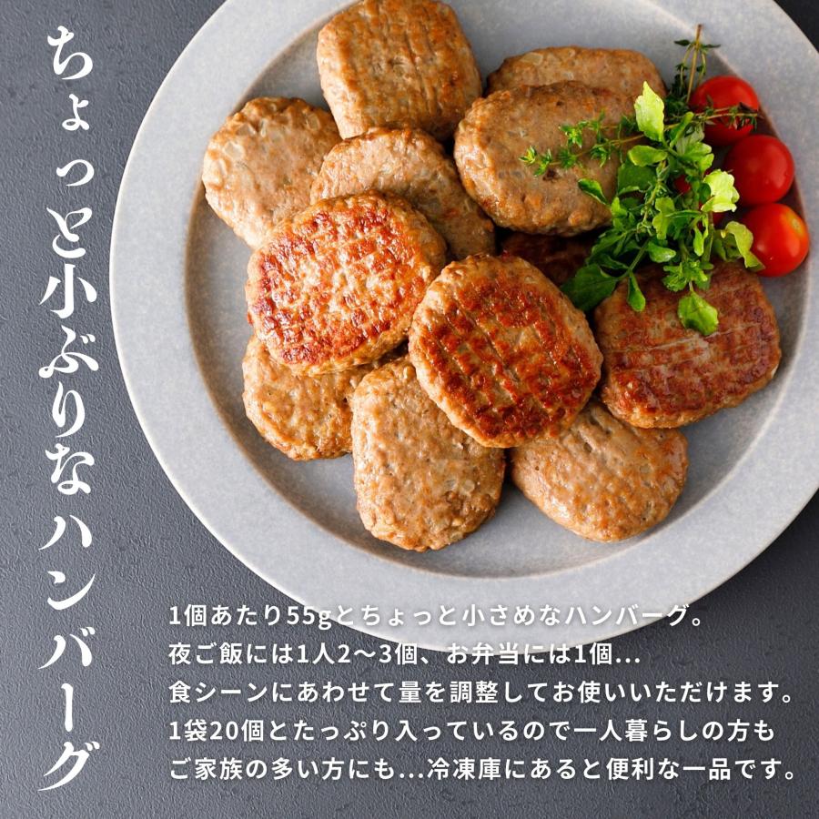 スターゼン 訳あり 焼成 ハンバーグ 冷凍 食品 冷凍食品 業務用 大容量