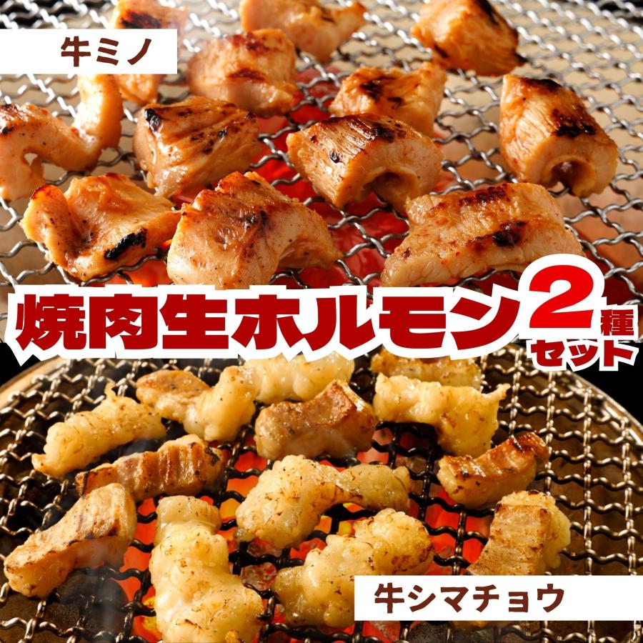 スターゼン ホルモン シマチョウ 500g 牛ミノ 320g(160g×2) 820g