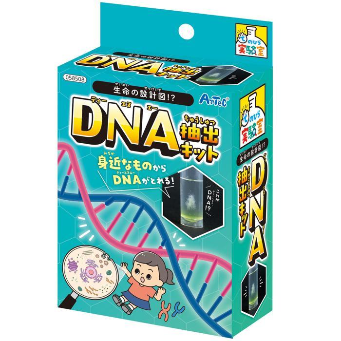 生命の設計図!?DNA抽出キット 58508 DNA抽出 DNA 遺伝子 てのひら実験