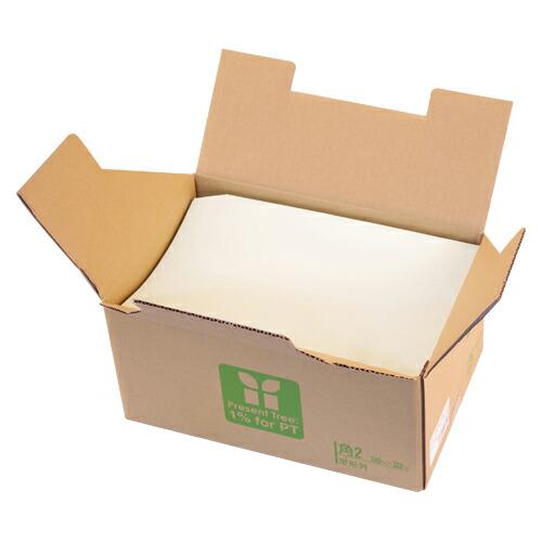 【大特価!!】 壽堂紙製品工業 カラー上質封筒　角２・５００枚　若草 02312 封筒