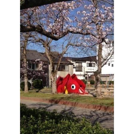 コクヨ キャンパス グラフ用紙 A5判 ホ 1 1mm方眼 メール便発送対応品 Ho 1 文具のしまsp 通販 Yahoo ショッピング