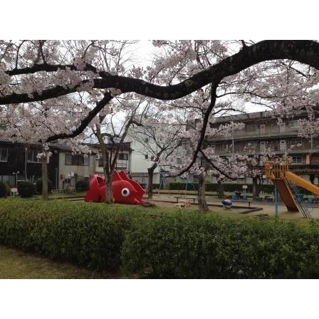 コクヨ キャンパス グラフ用紙 A5判 ホ 1 1mm方眼 メール便発送対応品 Ho 1 文具のしまsp 通販 Yahoo ショッピング