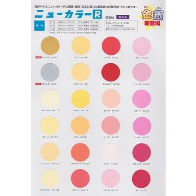 リンテック色画用紙 全判 ラシャ紙 ニューカラーR NCR-237 みかん