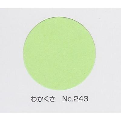 リンテック色画用紙 全判 ラシャ紙 ニューカラーr Ncr 243 わかくさ Ncr 243 文具のしまsp 通販 Yahoo ショッピング