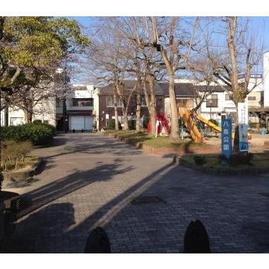 大高製紙 パルプ半紙 厚口 富士天龍 50枚袋入り×20袋 : 文具 大高製紙 パルプ半紙 厚口 富士天龍 50枚袋入り×20袋 : 文具