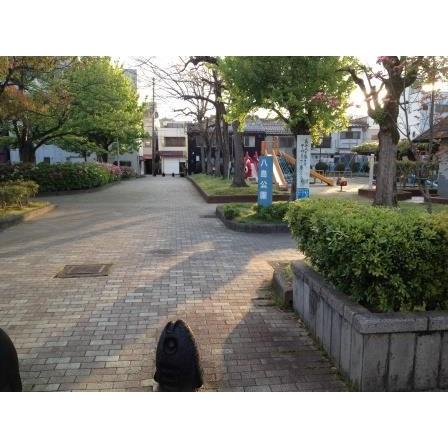 Ok特アートポスト 四六判 232 8ｇ M2 1枚から販売 Okap 0 46 文具のしまsp 通販 Yahoo ショッピング