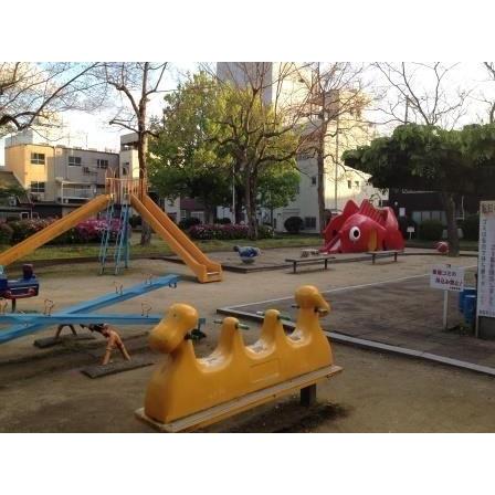 大色紙 一枚漉き 耳付き 10枚_4