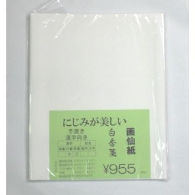 画仙紙 半切 手漉 漢字用 白香箋 書き試し用 10枚 : 文具のしまSP