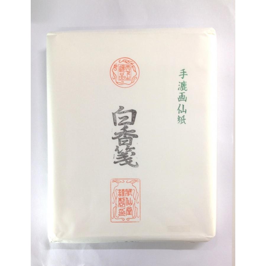 画仙紙 半切 手漉 漢字用 白香箋 書き試し用 10枚 : 文具のしまSP
