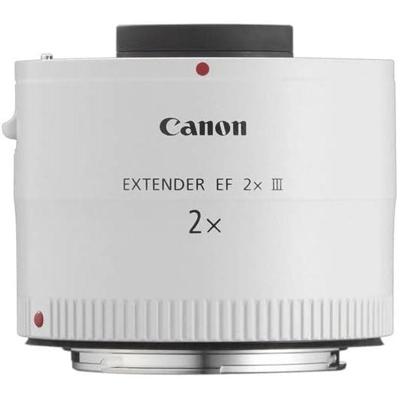 Canon エクステンダー EF1.4X III フルサイズ対応｜stationeryfactory｜04
