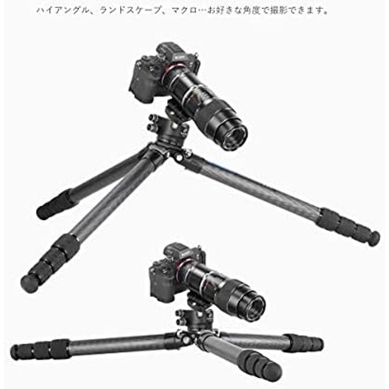 レオフォト LS-324C+LH40レンジャー三脚雲台セット｜stationeryfactory｜09