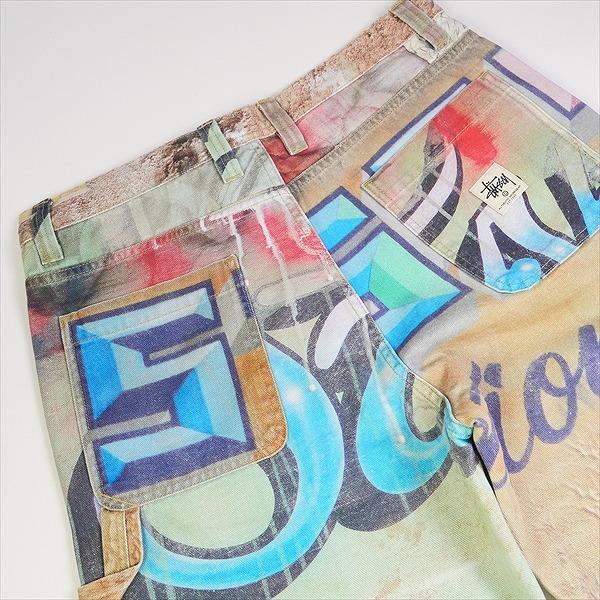 STUSSY ステューシー 23AW WORK PANT ALFONSO CANVAS Multi パンツ