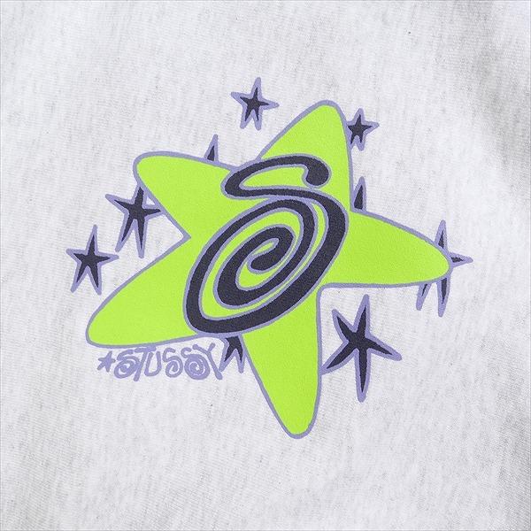 STUSSY ステューシー 23AW GALAXY HOODIE Ash Heather スウェット 