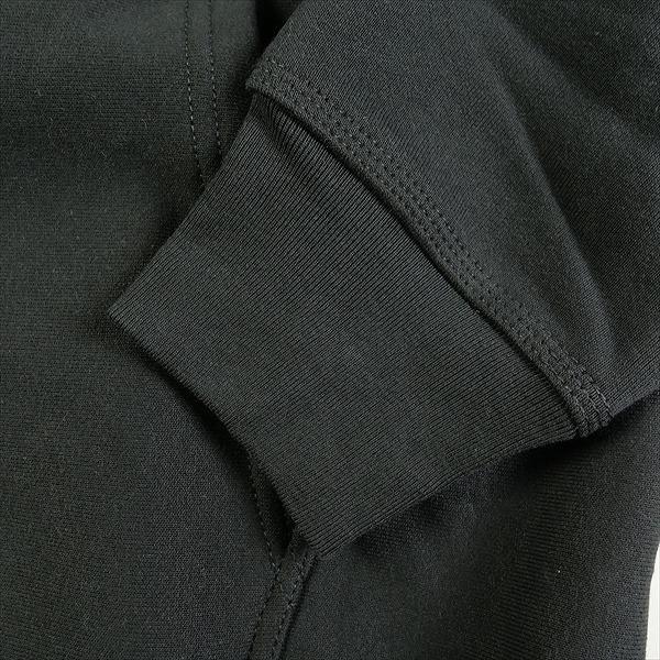 STUSSY ステューシー 24SS REGAL CROWN ZIP HOODIE BLACK ジップ