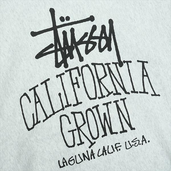 STUSSY ステューシー 25FW CALI GROWN ZIP HOOD ASH HEATHER ジップ