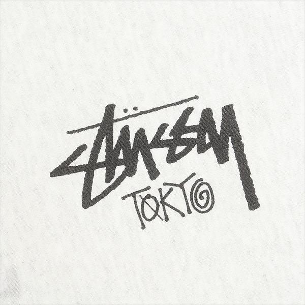 STUSSY ステューシー STOCK TOKYO ZIP HOOD ASH HEATHER 東京限定