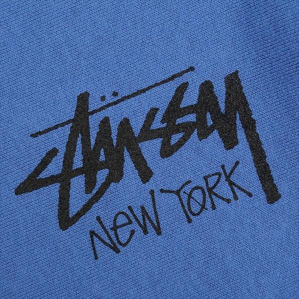 STUSSY ステューシー STOCK NEW YORK ZIP HOOD PACIFIC ニューヨーク