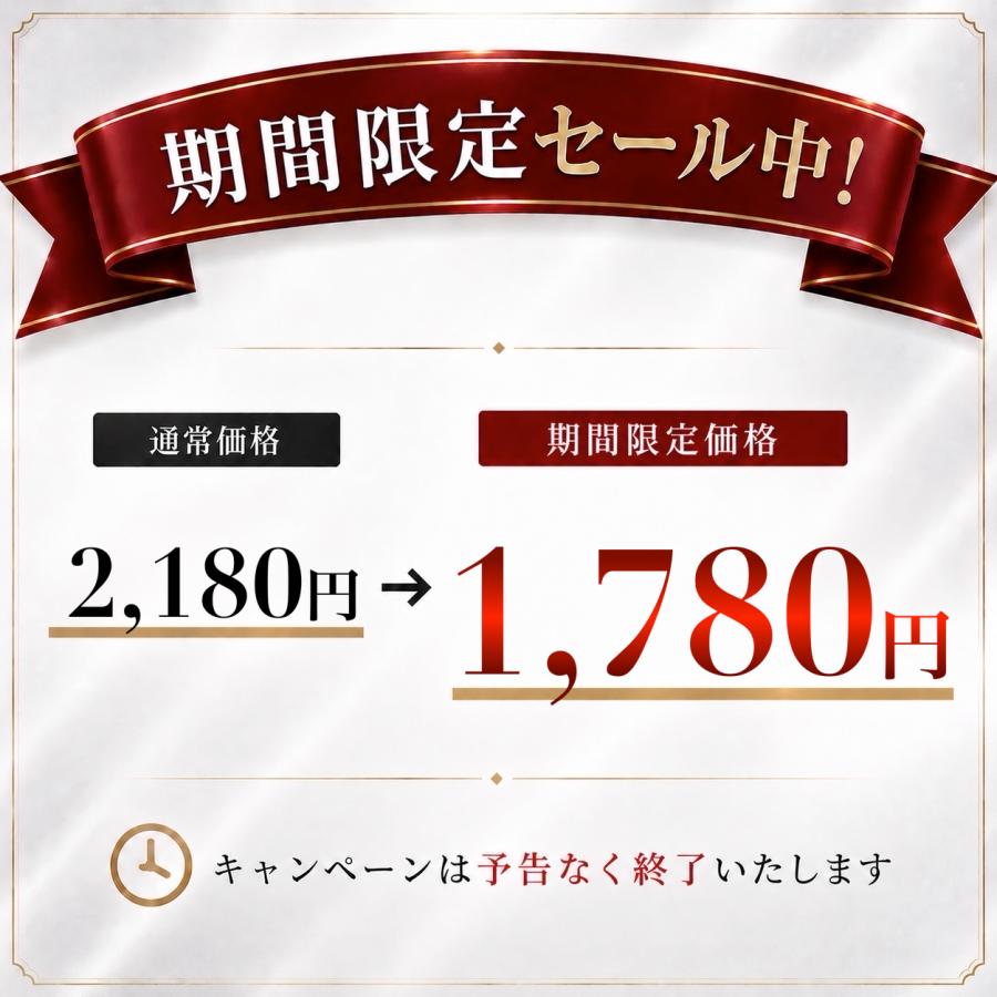 マグネット フック カラビナ 4個セット 強力 ステンレス マグネット