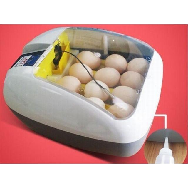 鳥の全自動孵卵器 ふ卵器・孵卵機 鶏卵サイズで12個入卵OK 孵化 送料無料 :4669:STB - 通販 - Yahoo!ショッピング