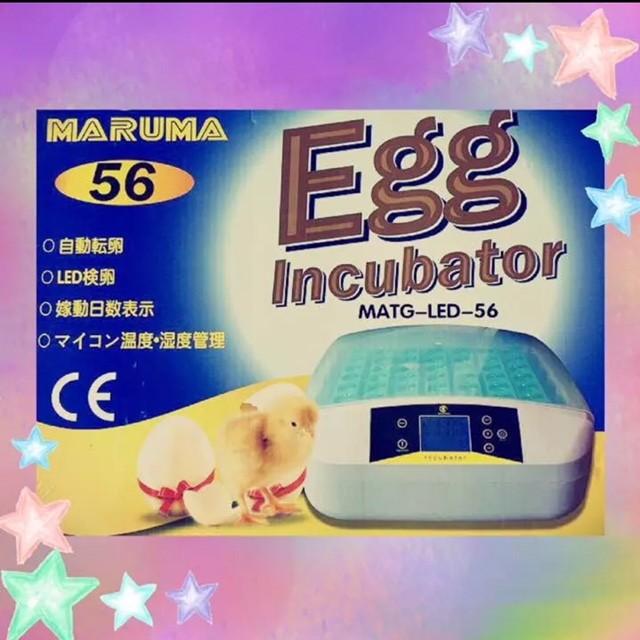 孵卵器 Pse認証 孵化 ふ卵器 孵化器 インキュベーター 最大56個 有精卵を全自動で孵化させる器械です 鶏 うずら 烏骨鶏 がちょうなど Fkki56sr 0631 03 Stb 通販 Yahoo ショッピング