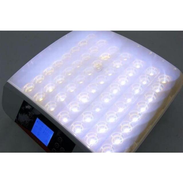 孵卵器 Pse認証 孵化 ふ卵器 孵化器 インキュベーター 最大56個 有精卵を全自動で孵化させる器械です 鶏 うずら 烏骨鶏 がちょうなど Fkki56sr 0631 03 Stb 通販 Yahoo ショッピング