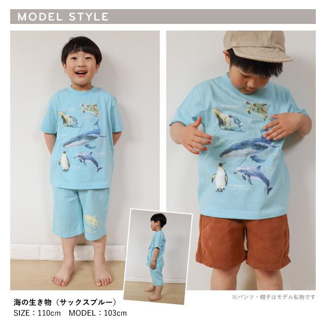 光るプリントパジャマ 消防士 法被 祭り 海の生き物 サメ ペンギン 