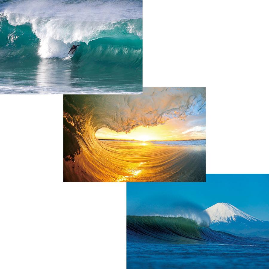 21年度 サーフィン フォト カレンダー カラータイドグラフ付き 日本の波を12ヶ月に渡って厳選 サーフィンカレンダー マリンスポーツ スノーボード Steadysurf 通販 Yahoo ショッピング