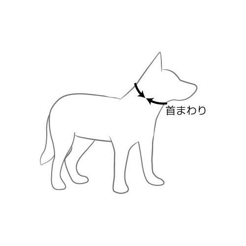 EZYDOG（イージードッグ）　犬用・ドック・ペット用首輪　ダブルロックカラー　Lサイズ（全7色）　ピンクカモ｜steadysurf｜03