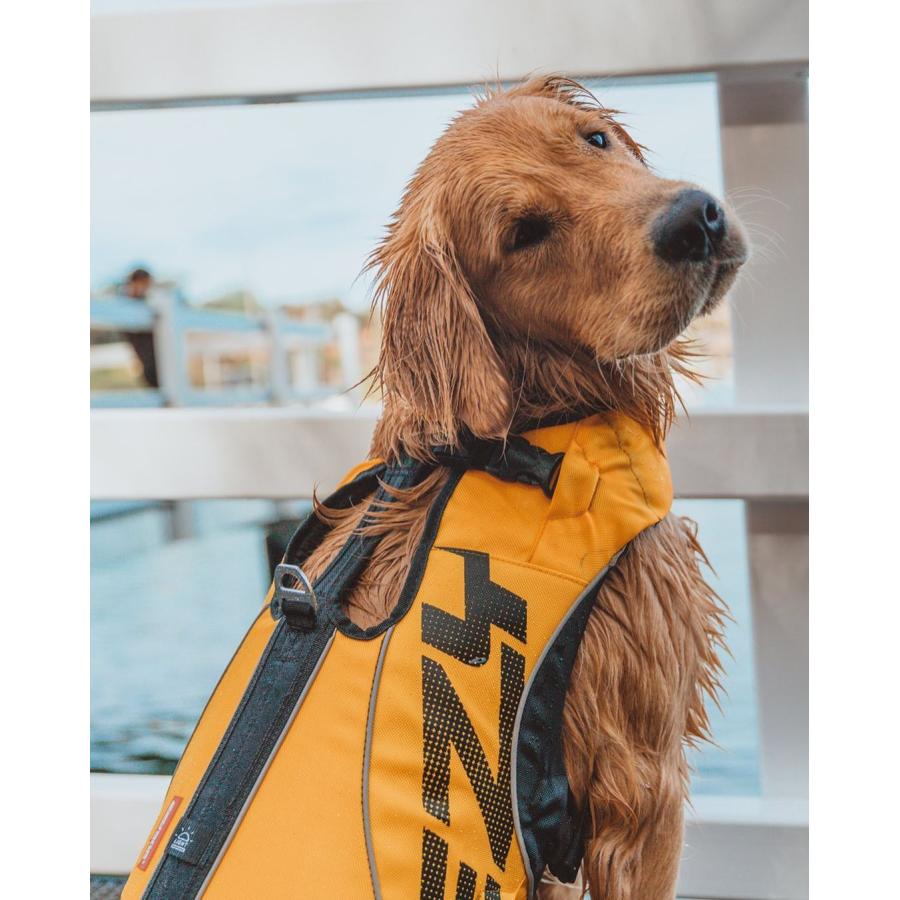 あすつく XSサイズ（全2色）レッド EZYDOG（イージードッグ） 犬