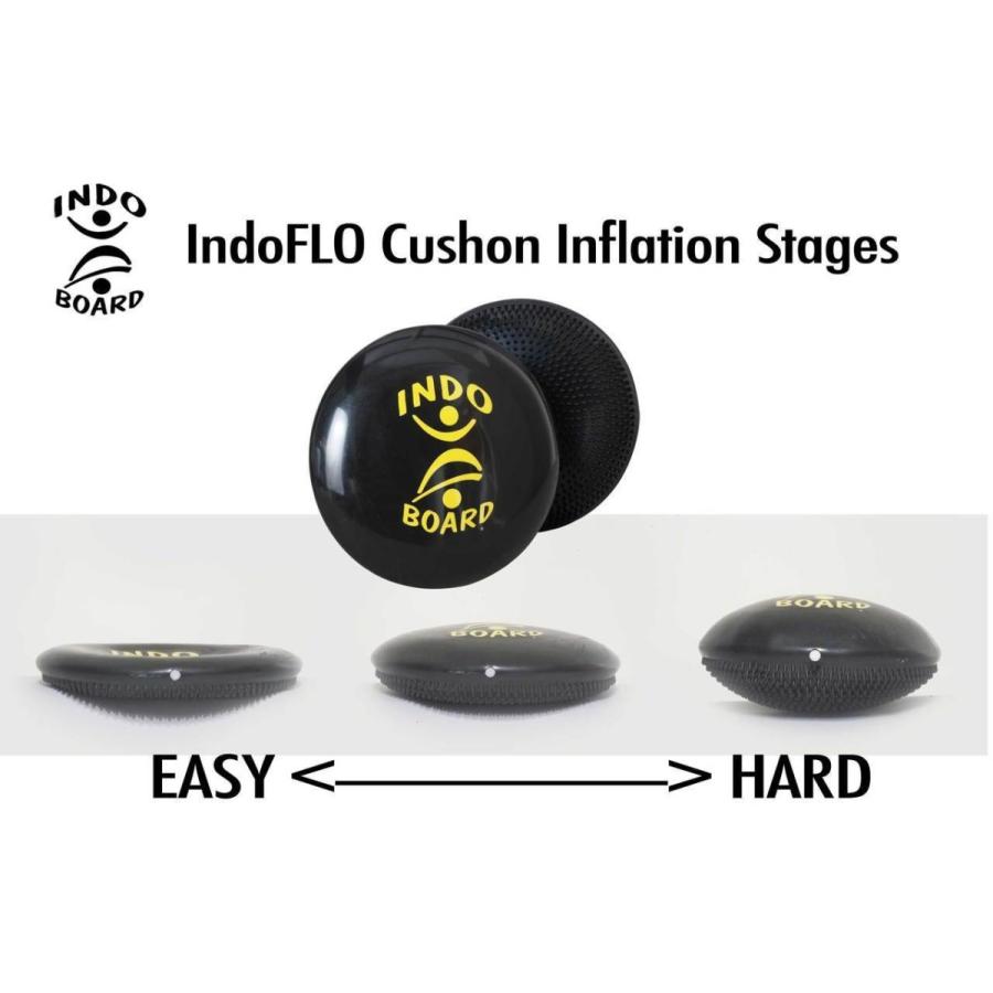 INDO BOARD インドボード INDO FLO SET インドフローセット 
