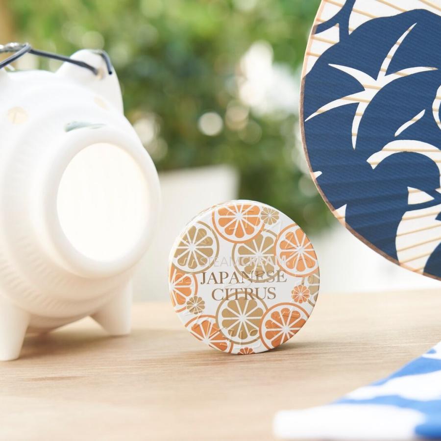 STEAMCREAM（スチームクリーム） ハンドクリーム 缶 柑橘系 ボディ