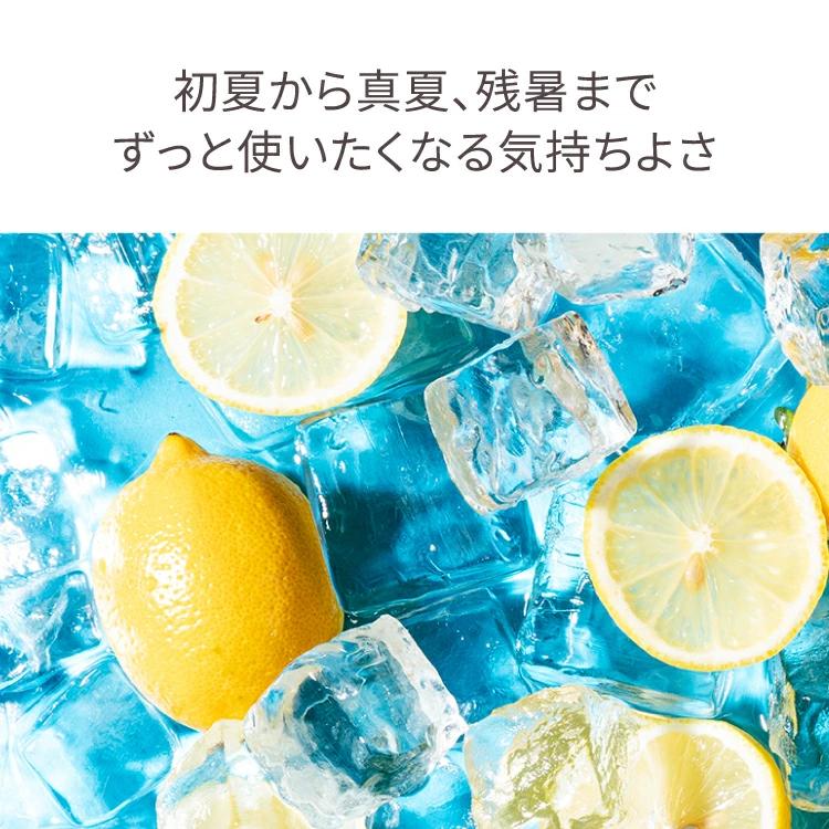 STEAMCREAM（スチームクリーム） 公式 夏季限定 ハッカ&レモン