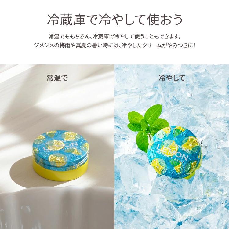 STEAMCREAM スチームクリーム 6個セット STEAMCREAM（スチームクリーム） 公式 夏季限定 ハッカ&レモン
