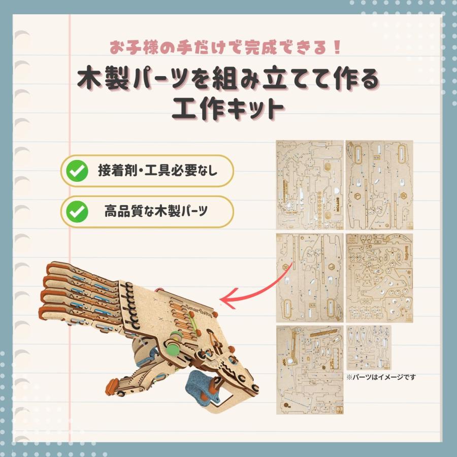 Smartivity (スマーティビティー) 作ってわかる解剖学 工作キット