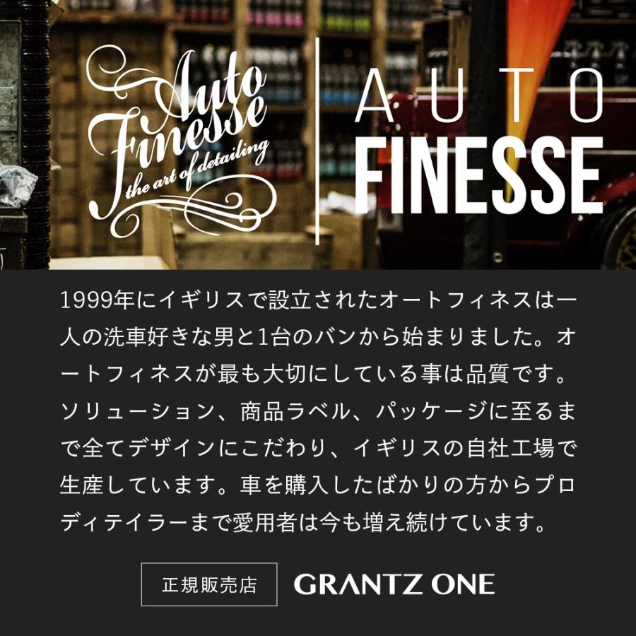 AutoFinesse オートフィネス AVALANCHE SNOW FOAM アヴァランチ スノー
