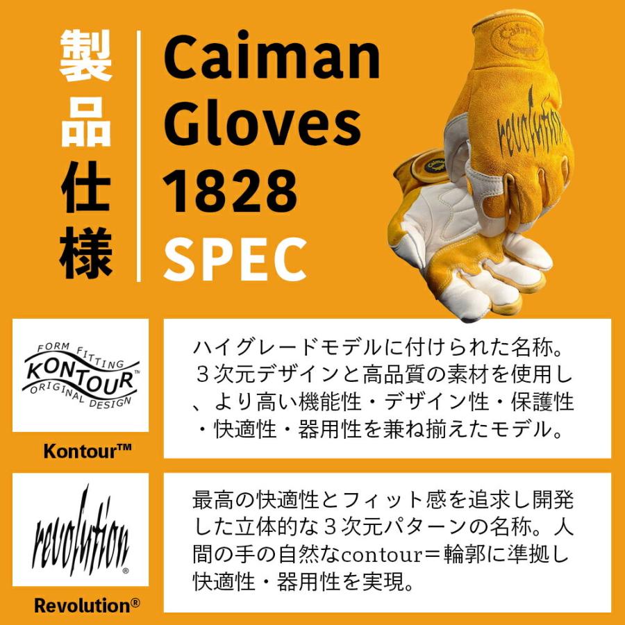 Caiman1828 カイマン Revolution レボリューション TIG/MIG溶接用