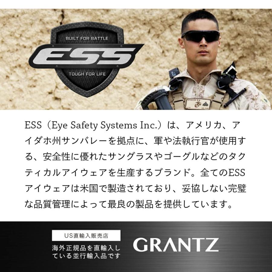 ESS サングラス アイスワン 740-0005 ブラックフレーム / クリアレンズ